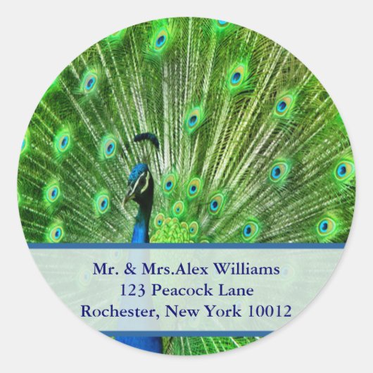 Peacock Adresetiketten Ronde Sticker (Voorkant)