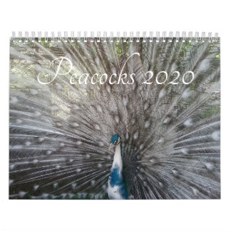 Peacock-agenda Kalender