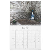 Peacock-agenda Kalender (Mar 2027)
