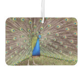 Peacock Air Freshener Luchtverfrisser (Achterkant)