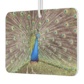 Peacock Air Freshener Luchtverfrisser (Links)