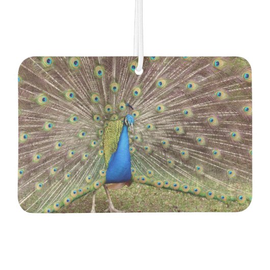Peacock Air Freshener Luchtverfrisser (Voorkant)