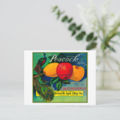 Peacock Apple Crate LabelWatsonville, CA Briefkaart (Staand voorkant)