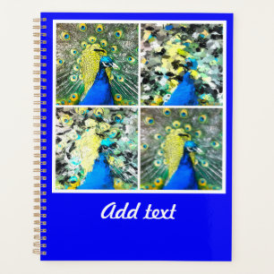 Peacock Art