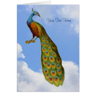 Peacock Art Animal Card