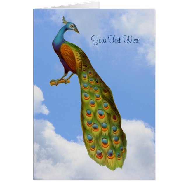 Peacock Art Animal Kaart (Voorkant)