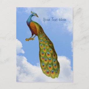 Peacock Art Bird Briefkaart