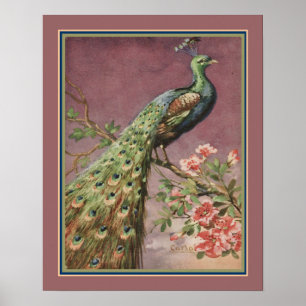 Peacock Art déco des années 1920 par Carlo Chiostr