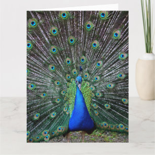 PEACOCK ART GROOT VERJAARDAG WENSKAART BEDANKKAART