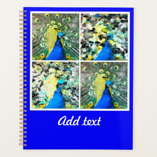 Peacock Art Planner (Voorkant)