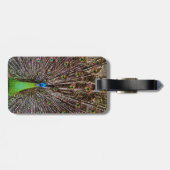 Peacock Bagagelabel (Achterkant horizontaal)