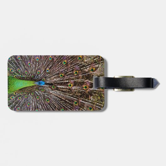 Peacock Bagagelabel (Achterkant horizontaal)