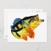 Peacock Bass 3 Briefkaart (Voorkant / Achterkant)