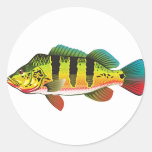Peacock Bass bright Ocean Gamefish illustratie Ronde Sticker
