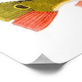 Peacock Bass Print (Hoek)