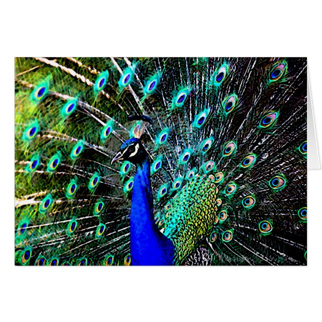 Peacock Batik 2 (blanco kaart) (Voorkant Horizontaal)