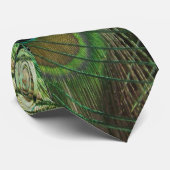 Peacock Beauty - Cravate (Roulé)