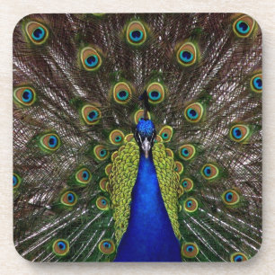 Peacock Bier Onderzetter