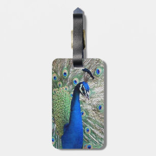 Peacock Bird Bagagelabel