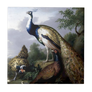 Peacock Bird Family Painting Tegeltje