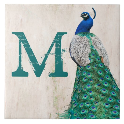 Peacock Bird Feather Blauwgroen Monogram Display T Tegeltje (Voorkant)