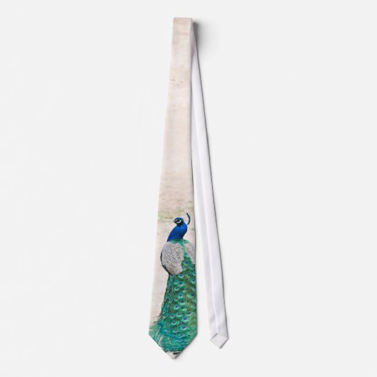 Peacock Bird Feather Blauwgroen Turquoise Vinta Ma Stropdas (Voorkant)