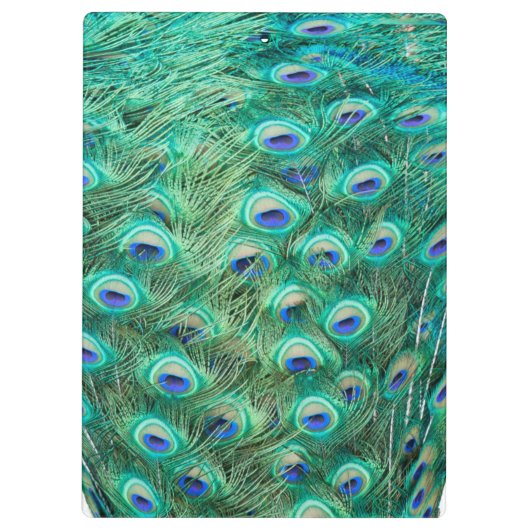 Peacock Bird Feather Monogram Initiaal Clip Board Klembord (Achterkant)