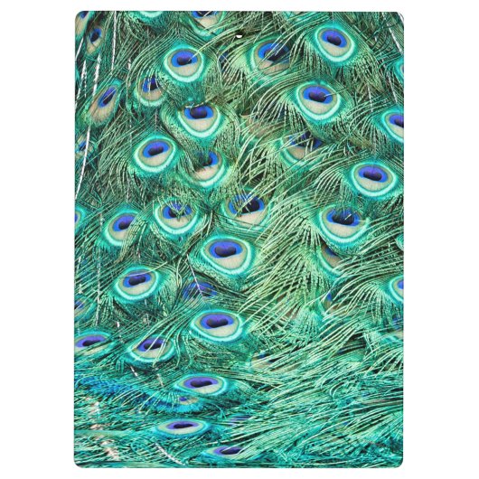 Peacock Bird Feather Monogram Initiaal Clip Board Klembord (Achterkant)