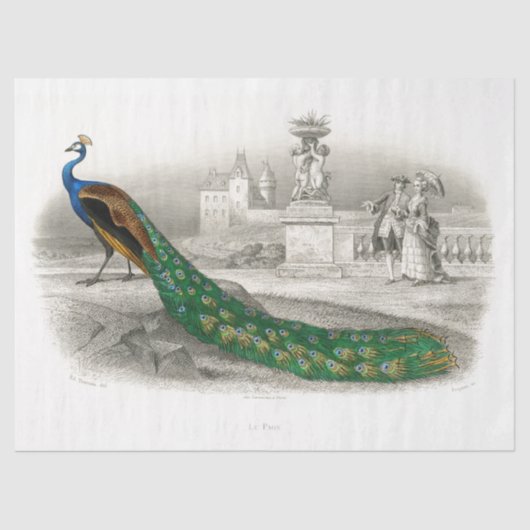 Peacock Bird French Court  Decoupage Tissuepapier (Voorkant)