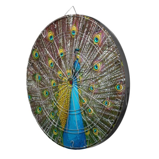 Peacock Bird met Royal Plumage op het display Dartbord (Voorkant Rechts)