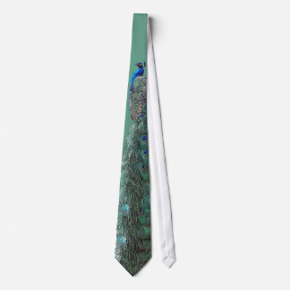 Peacock Bird Stropdas