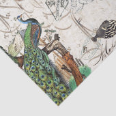 Peacock Bird Zee Turtle Blowfish French Ephemera Tissuepapier (Detail)