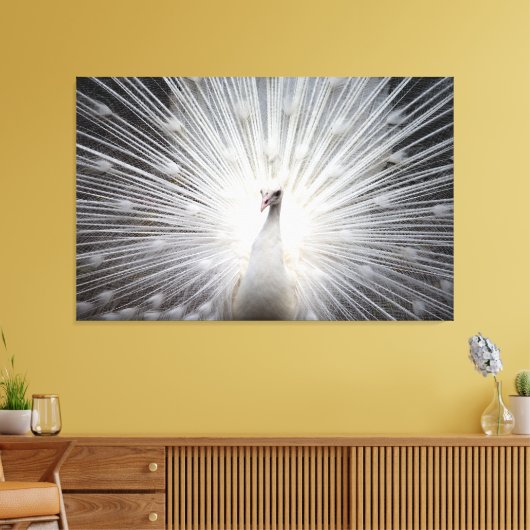Peacock blanc sur toile enveloppée Premium (Gloss) (Insitu(Salon))