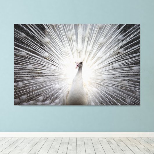 Peacock blanc sur toile enveloppée Premium (Gloss) (Insitu (Plancher de Bois))