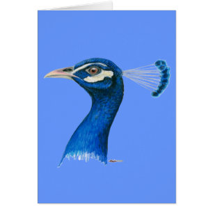 Peacock : bleu indien