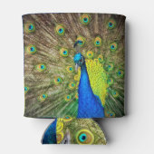 Peacock Blikjeskoeler (Achterkant)