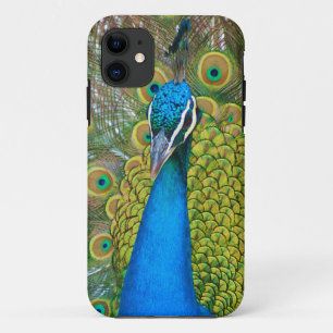 Peacock Blue Head met kleurrijke staartopperen iPhone 11 Hoesje