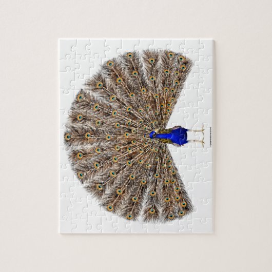 Peacock Blue Legpuzzel (Verticaal)