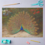 Peacock Boho Decoupage Peacocks Colorful Tissuepapier (Craft)