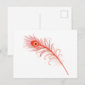 Peacock Briefkaart (Voorkant / Achterkant)