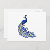 Peacock Briefkaart (Voorkant / Achterkant)