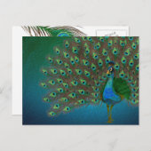 Peacock Briefkaart (Voorkant / Achterkant)