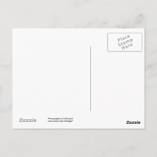 Peacock Briefkaart (Achterkant)