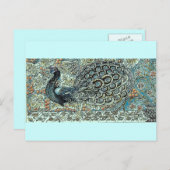 Peacock Briefkaart (Voorkant / Achterkant)