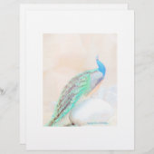 Peacock briefpapier (Voorkant / Achterkant)