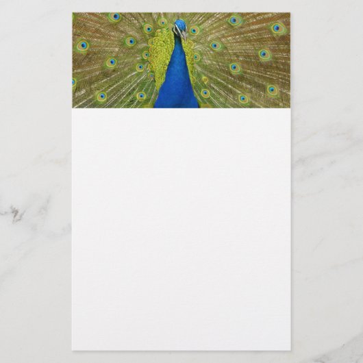 Peacock Briefpapier (Voorkant)