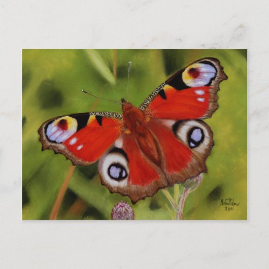 PEACOCK BUTTERFLY BRIEFKAART (Voorkant)