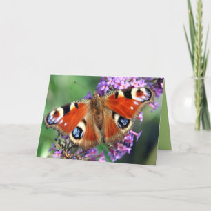 Peacock Butterfly Kaart Wenskaart