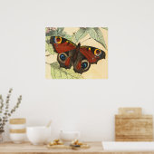 Peacock Butterfly -  kunstPoster Poster (Keuken)