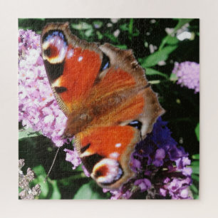 Peacock Butterfly on Mauve Buddleia Legpuzzel